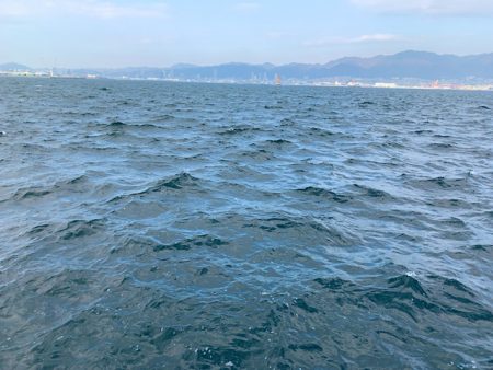 求めていたアジング